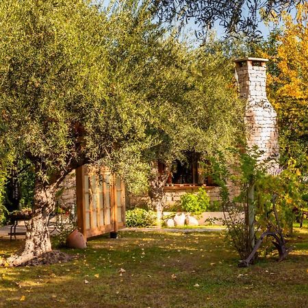 Aromos De Olivares Chacras de Coria Bagian luar foto
